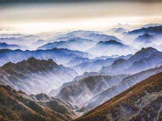 山茱萸的医家论述