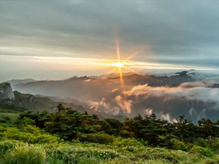 山茱萸治体虚月经多方