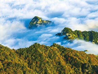 流岭山简介